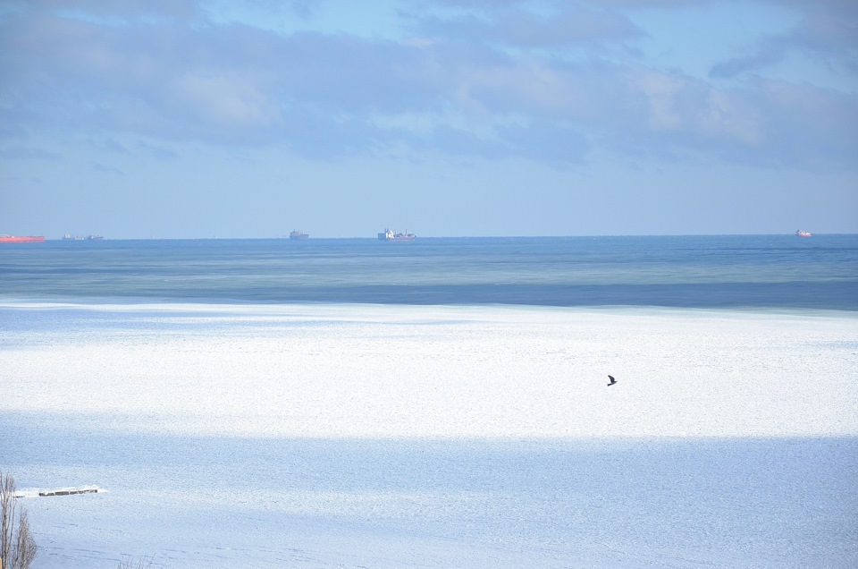 1.02.2014 Море в Одесі. 3