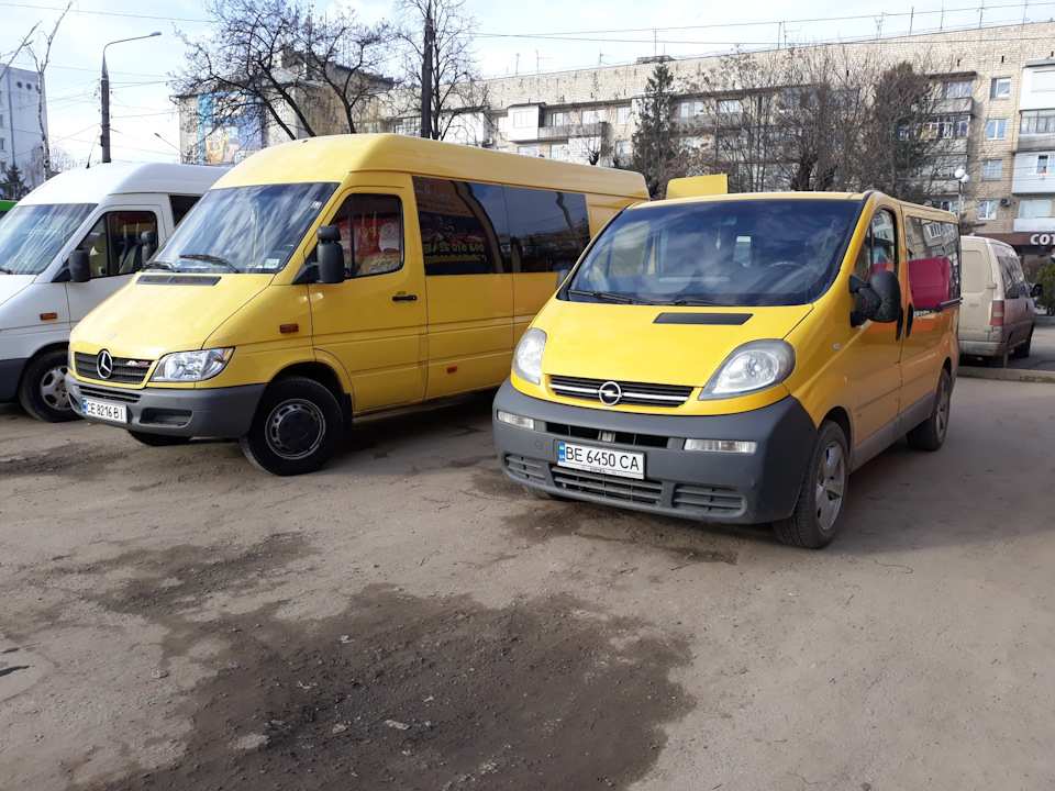 416 максі vs vivaro camaro))) 3