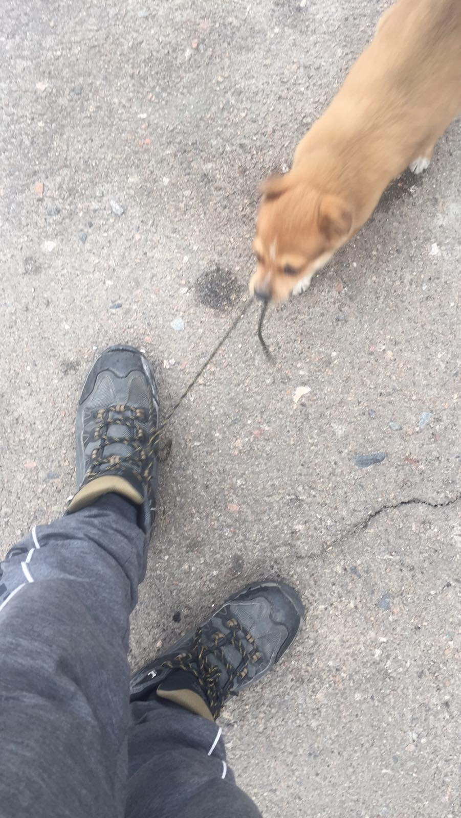 Продовжуємо ковіряти проводку ((потрібна допомога ! хелп ) 1