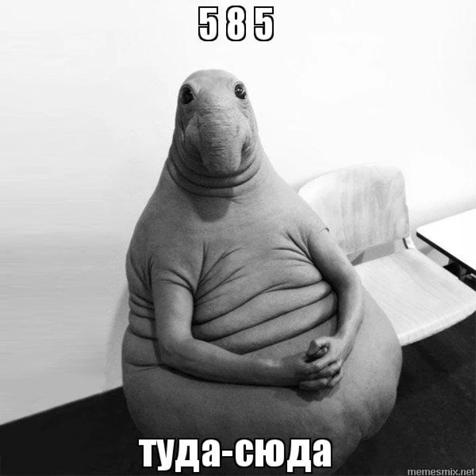 Підписка і т.д