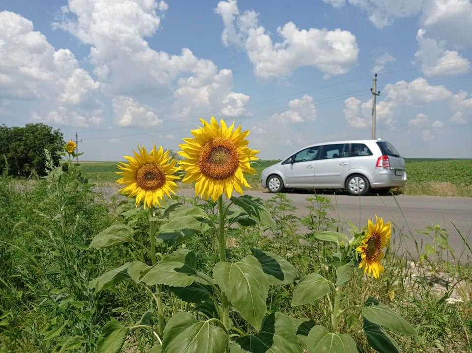 Молдавія 🇲🇩 => Україна 🇺🇦. Назад