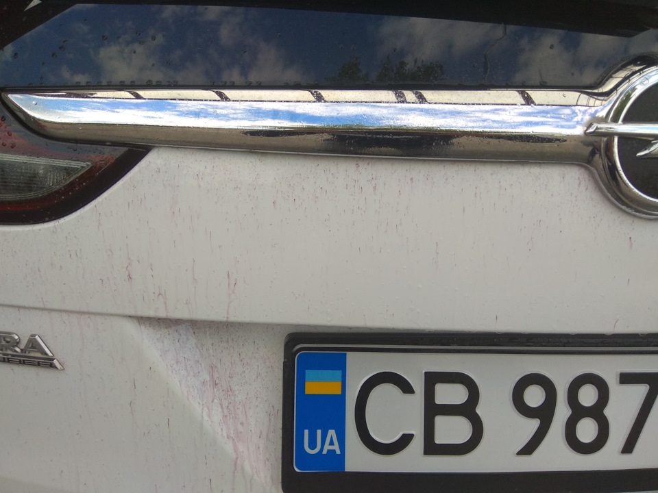 ТЕСТУВАННЯ АВТОХІМІЇ 3