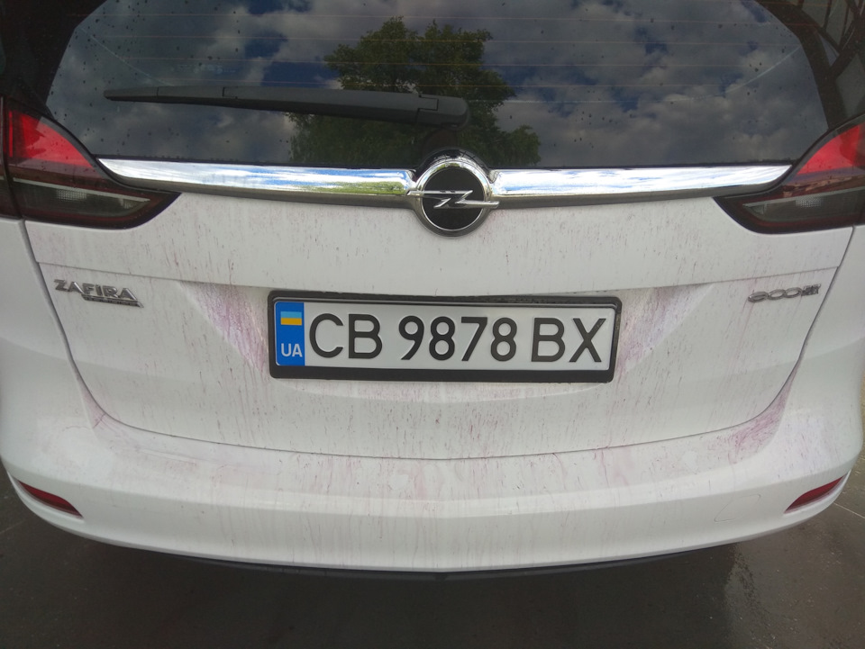 ТЕСТУВАННЯ АВТОХІМІЇ 4