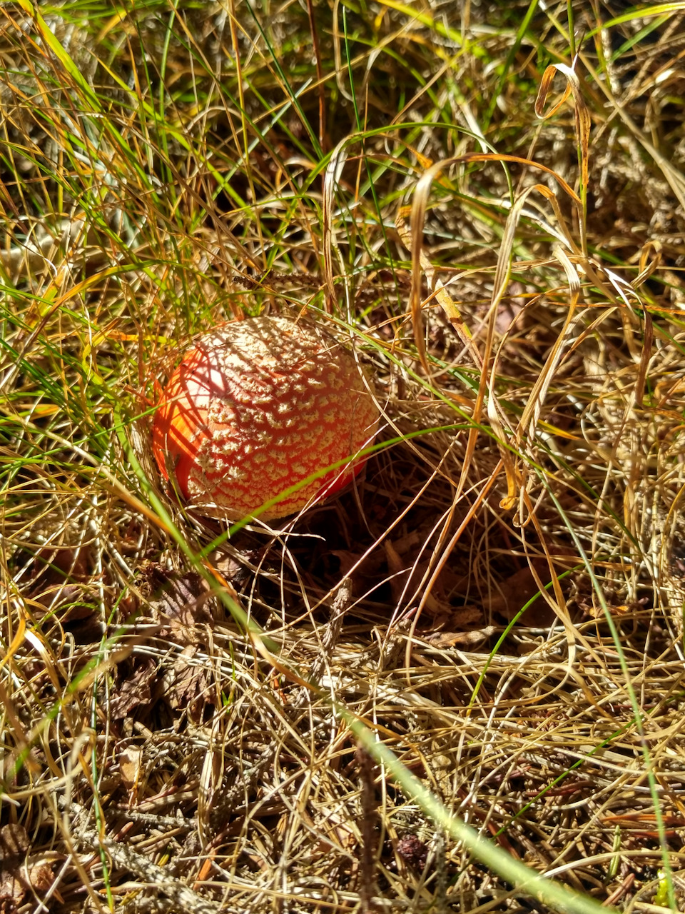 Поїздка в гори. 5