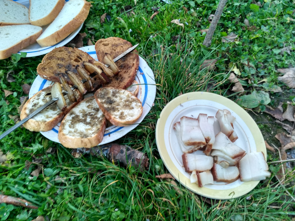 Поїздка в гори. 3