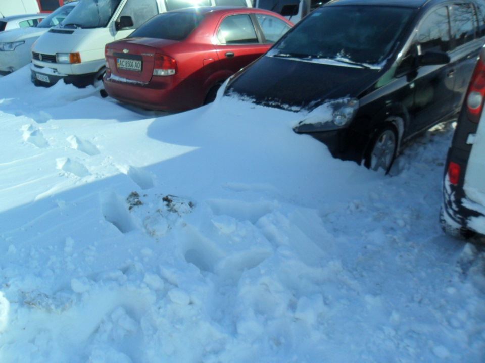 Подарунок весни! 1