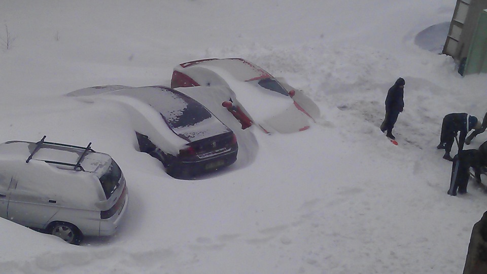 50-е та 51-е Лютого в Києві. 3