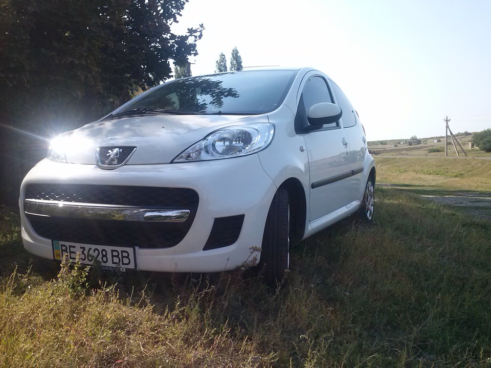 фото))))) 1