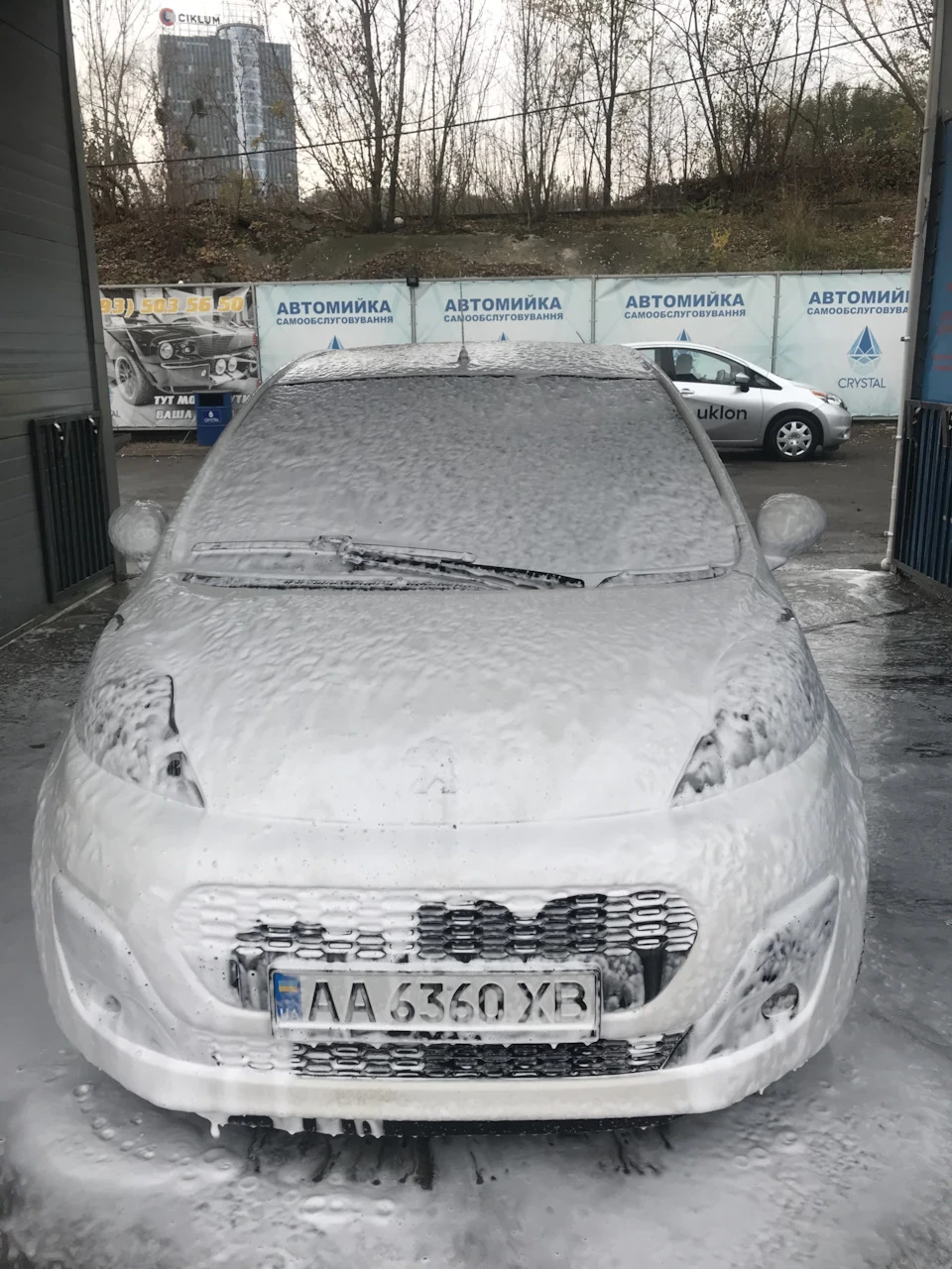 Мокра пежопа