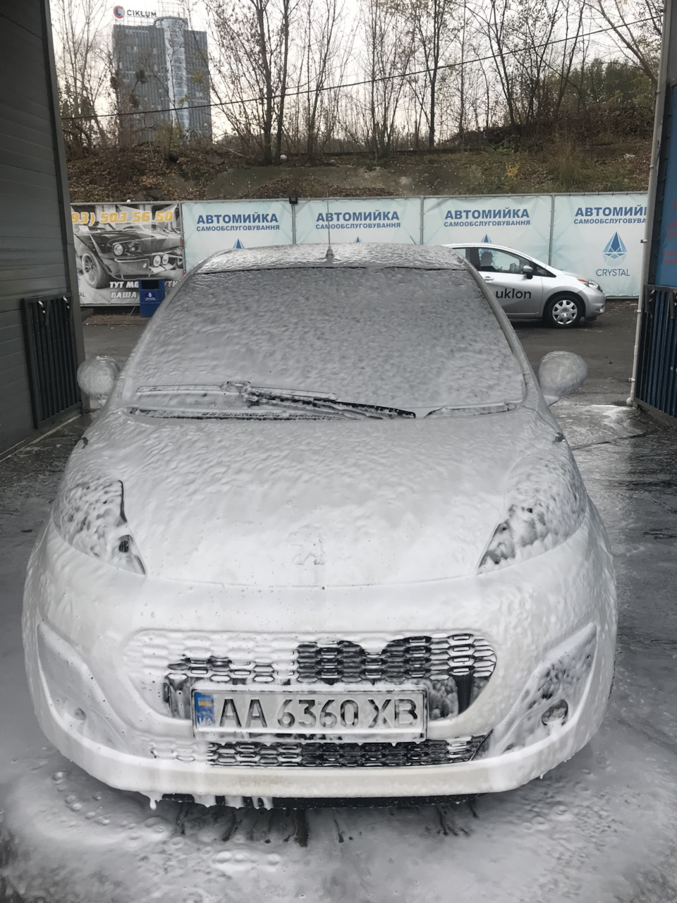 Мокра пежопа 1