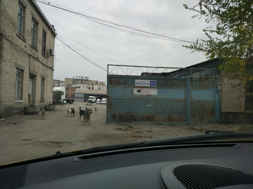 Антикор пижіка 2