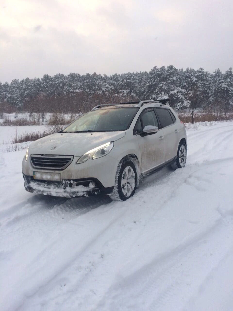Позашляховик Peugeot 2008 у зимовому лісі!