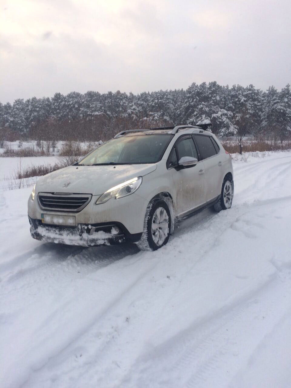 Позашляховик Peugeot 2008 у зимовому лісі! 1