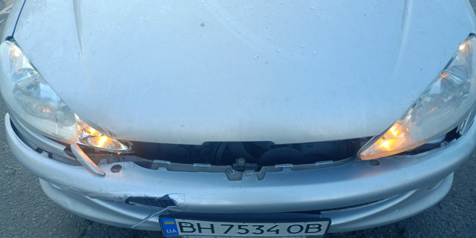 Невдала подорож дружини. 1