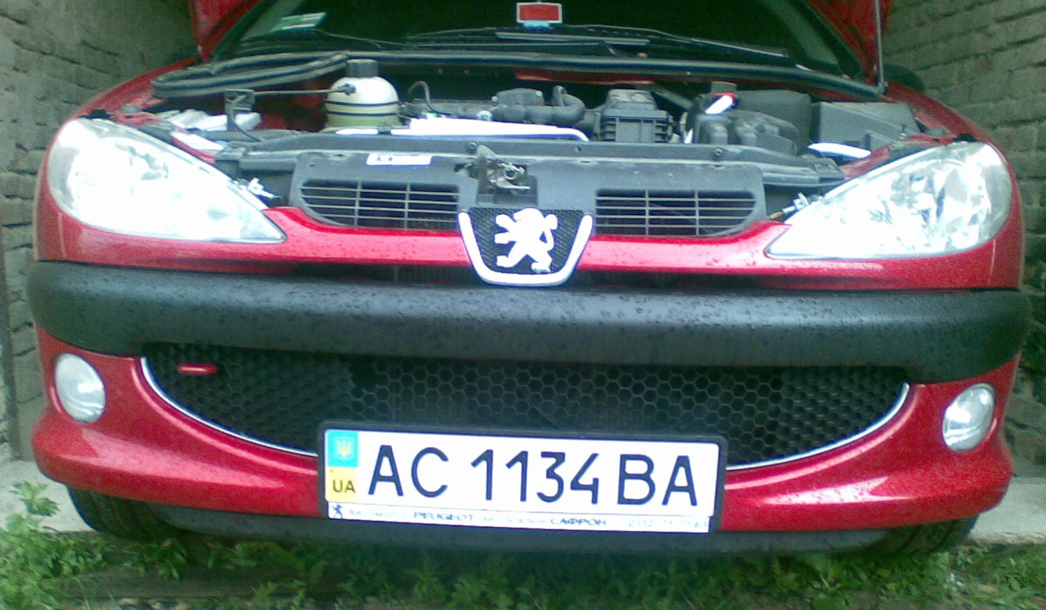 Сетка в бампер 1