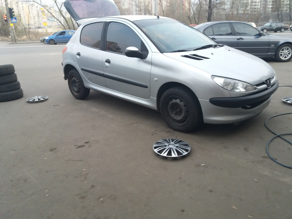 Сіре мишеня 3