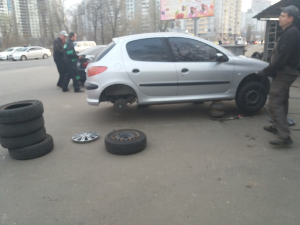 Сіре мишеня 2