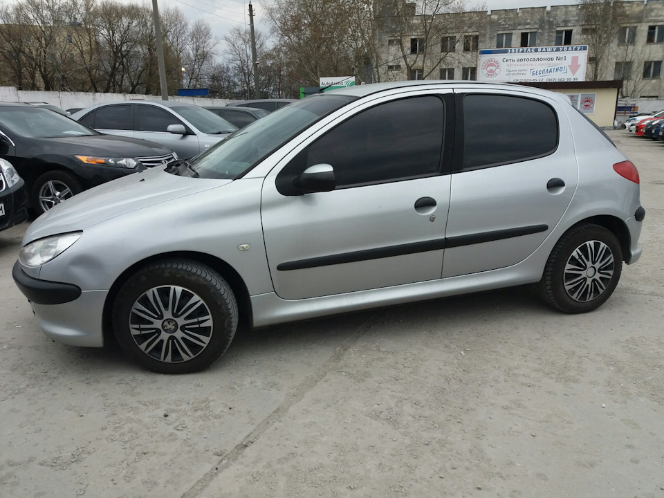 Сіре мишеня 1
