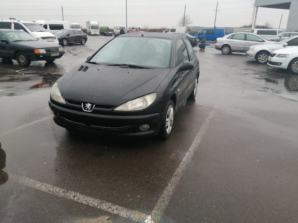 Спонтанна покупка peugeot 206 1