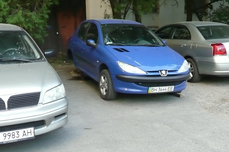 Капролон у задню балку. 3