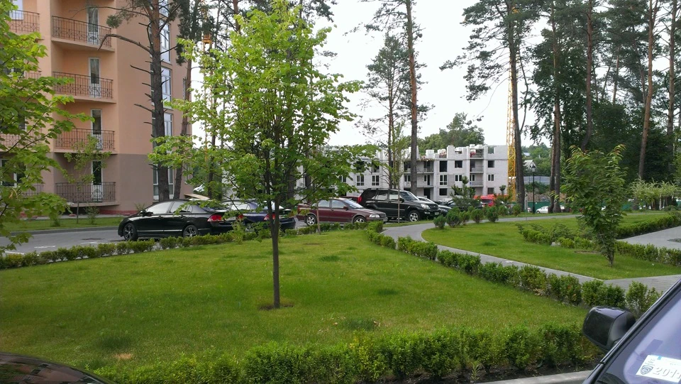 Звіт по шумку