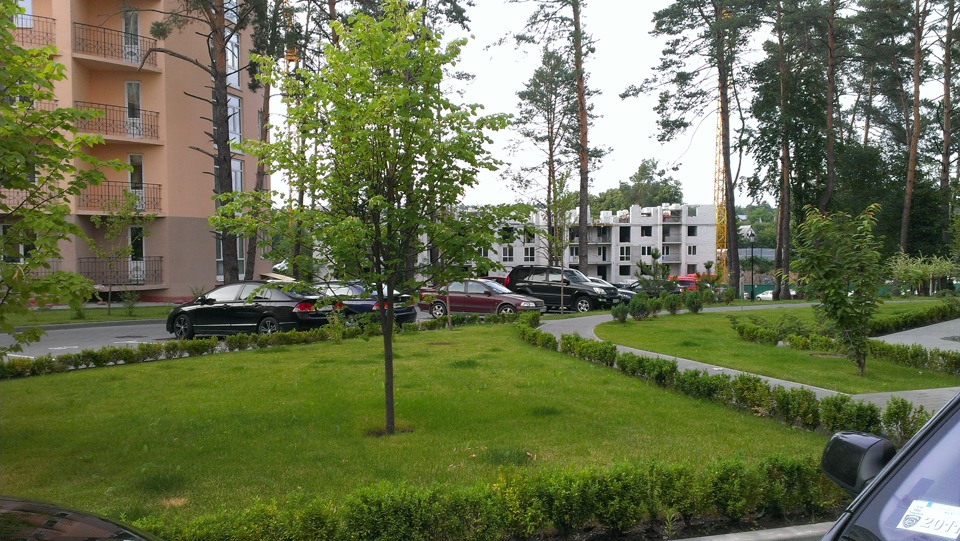 Звіт по шумку 1