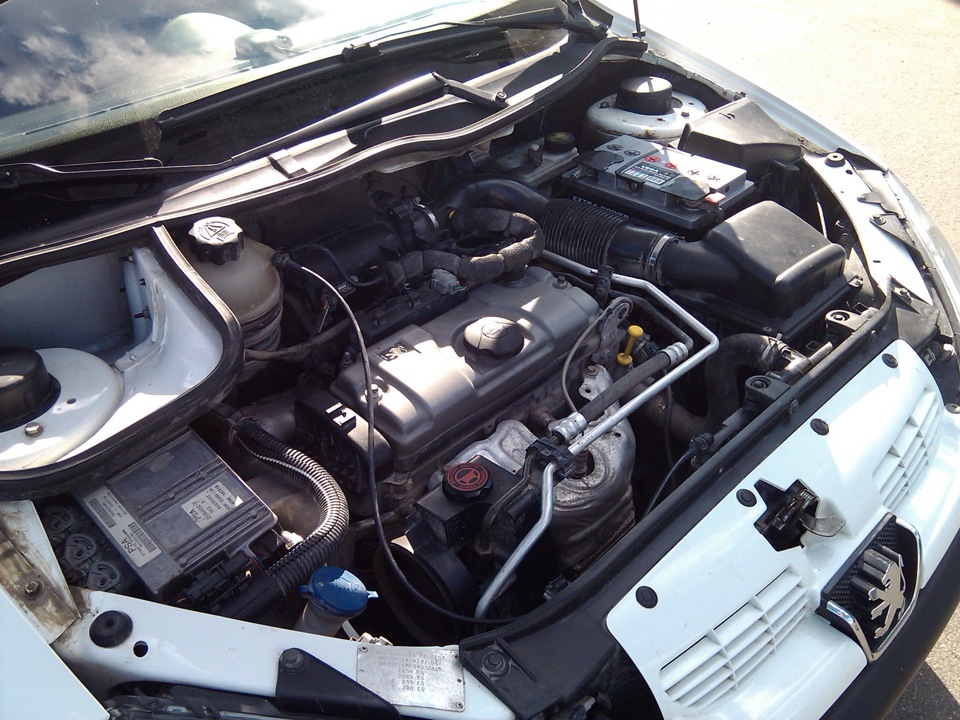 Вид у день покупки 1
