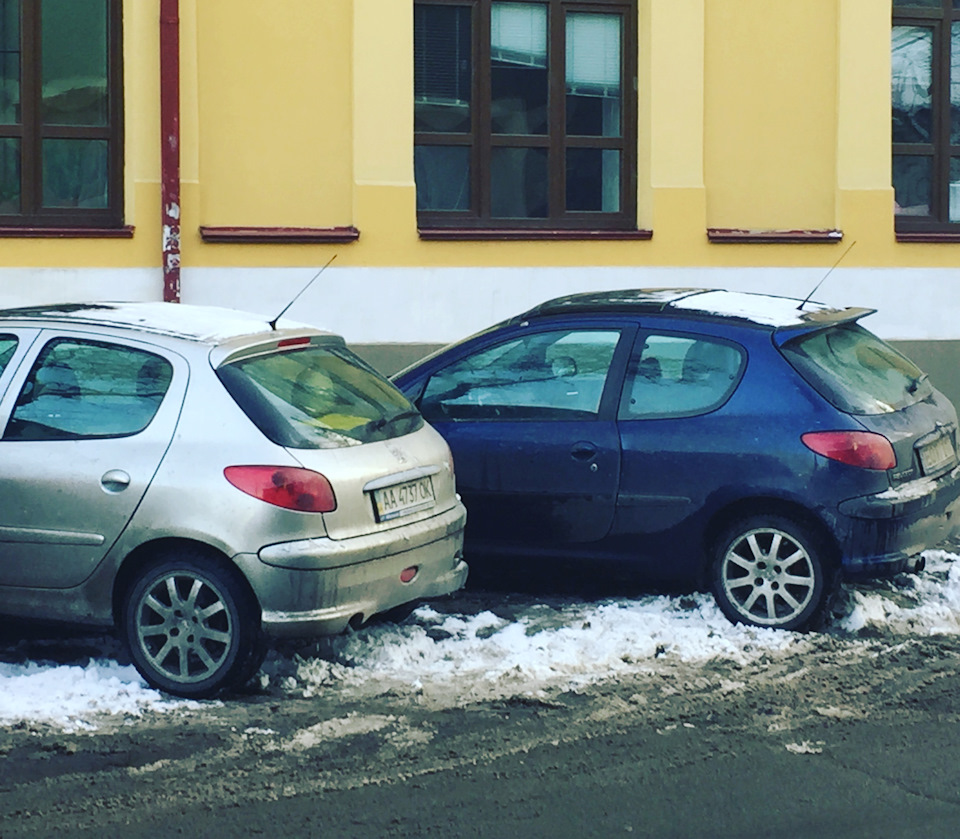 Два Лева на морозі! 1