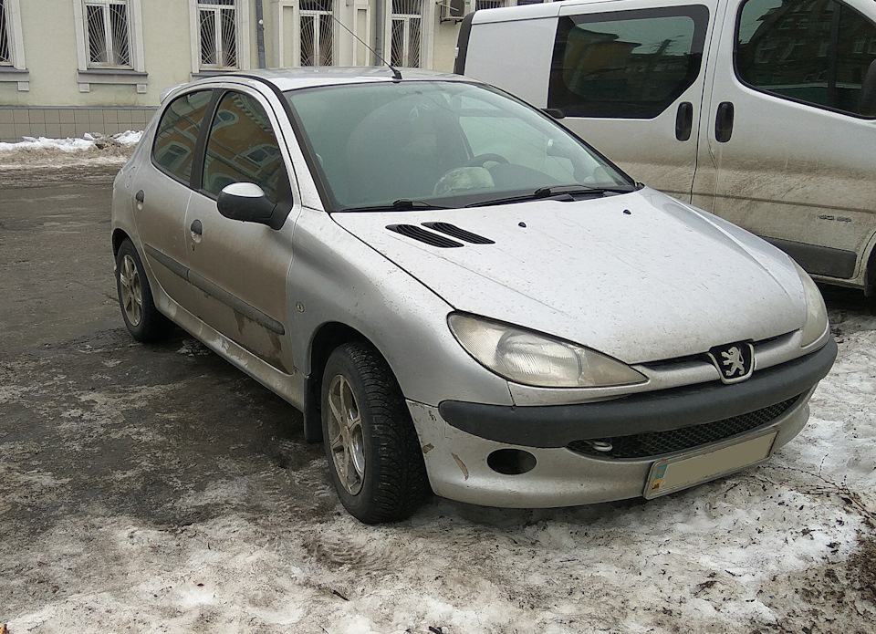 Однофоткопост. Подорожник у дії. 1
