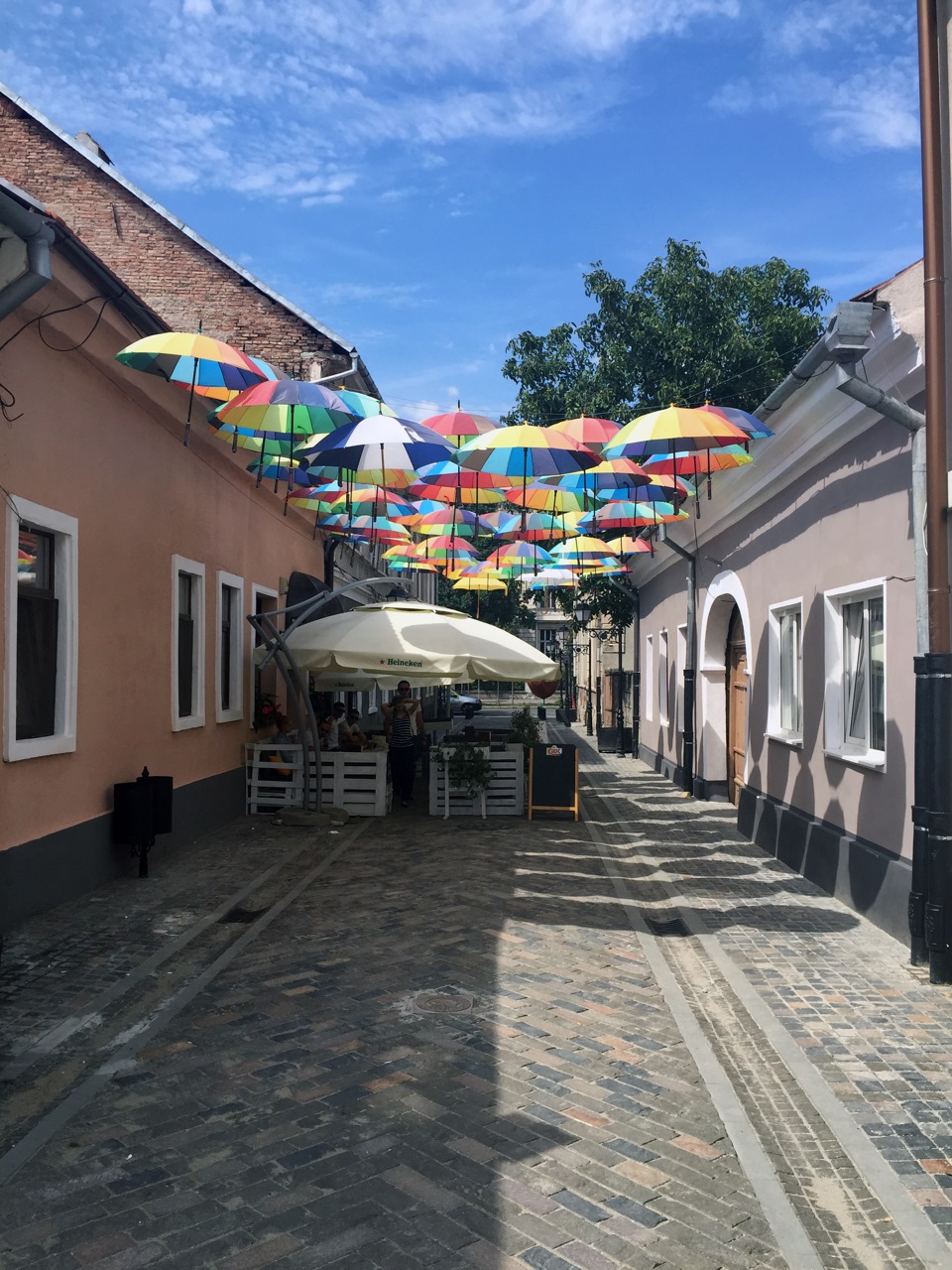 Карпати або як провести вихідні з користю ч.3 4