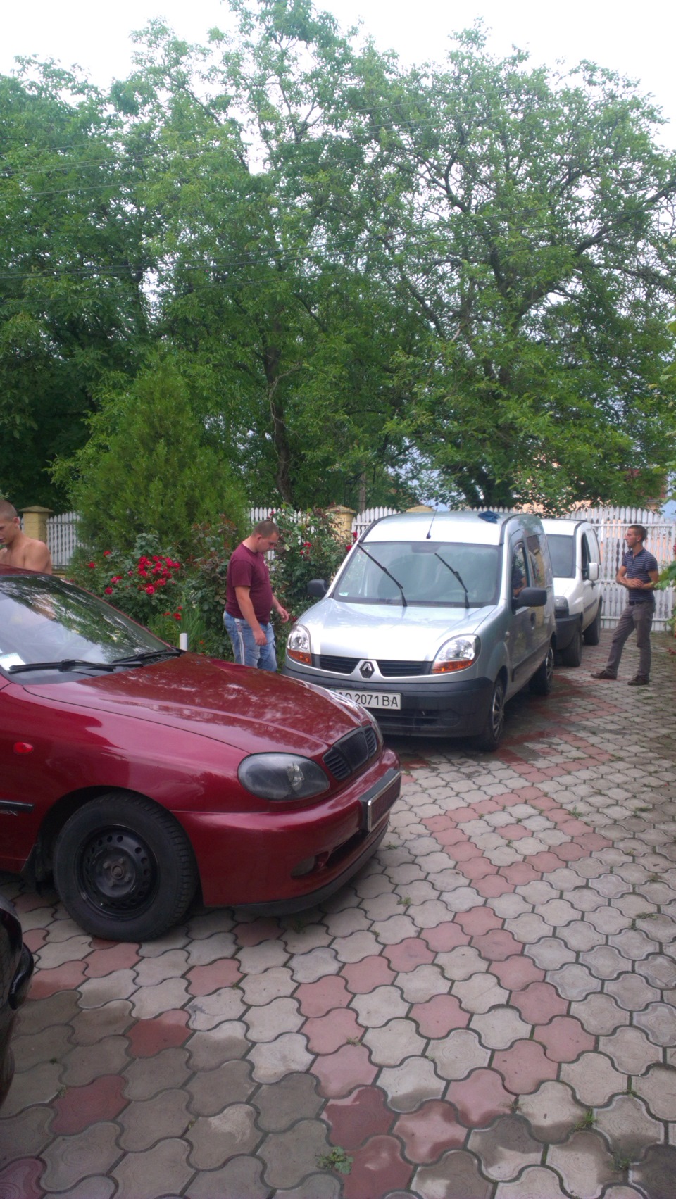 Красуня 5