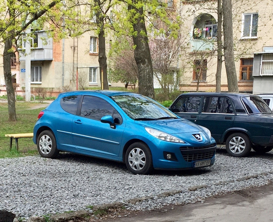 Тонировка Льва по-кругу 3
