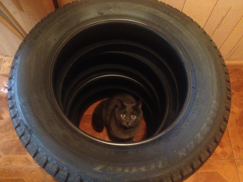 Гуму купив | Bridgestone Blizzak Revo GZ 1