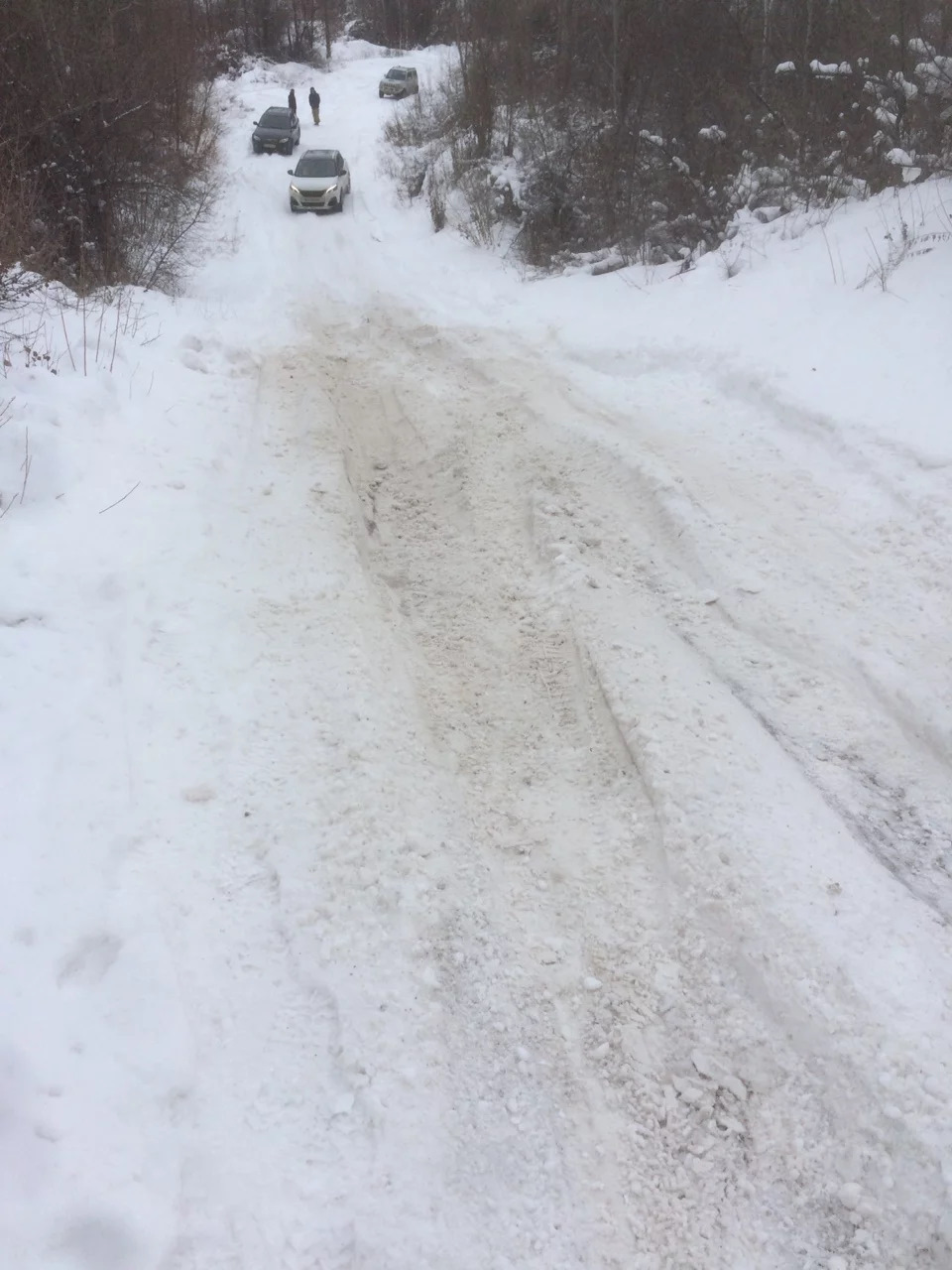 Покотушки в кар'єрі 1