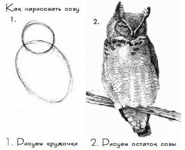 Як зняти акумулятор із 2.0 Дизеля 2
