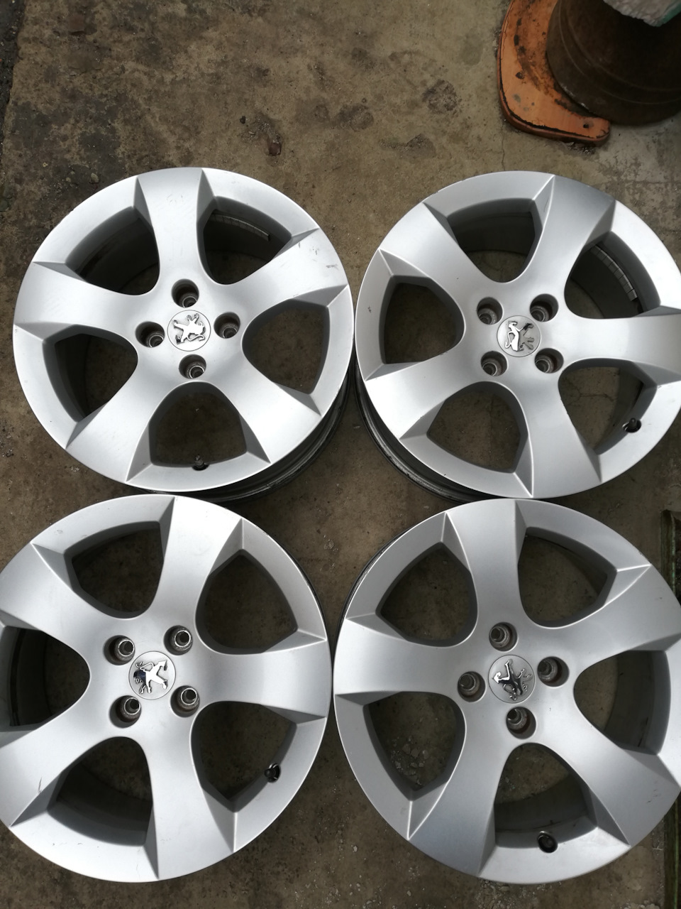 Savara R17 1