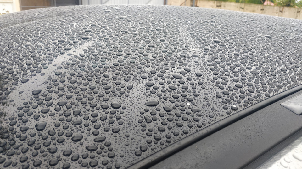 Півроку з Peugeot 3008 4