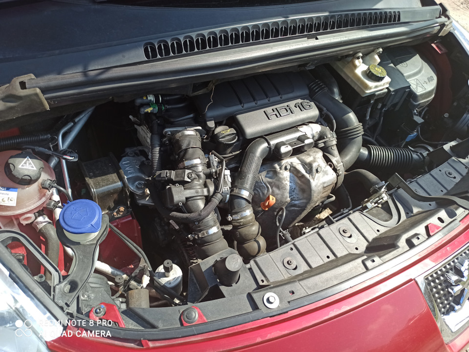 Продав Пижа. 2