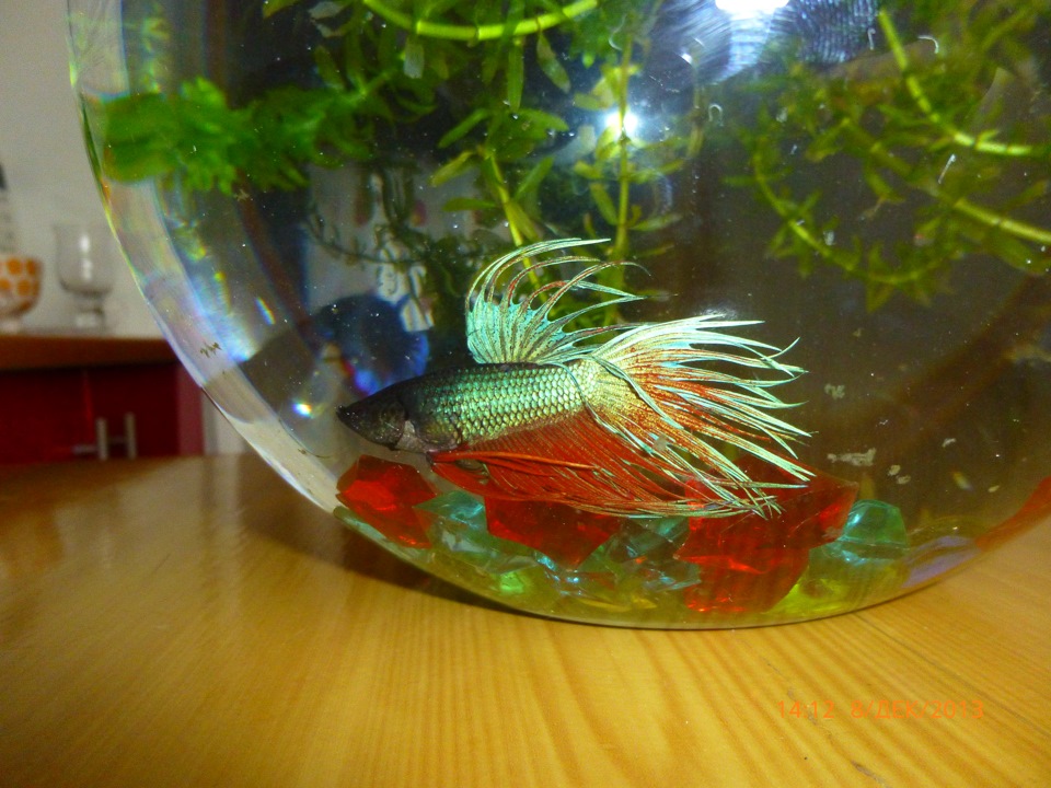 немного не про авто 1