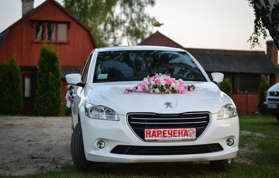 Фотосесія