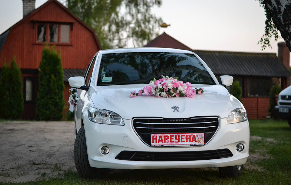 Фотосесія 1
