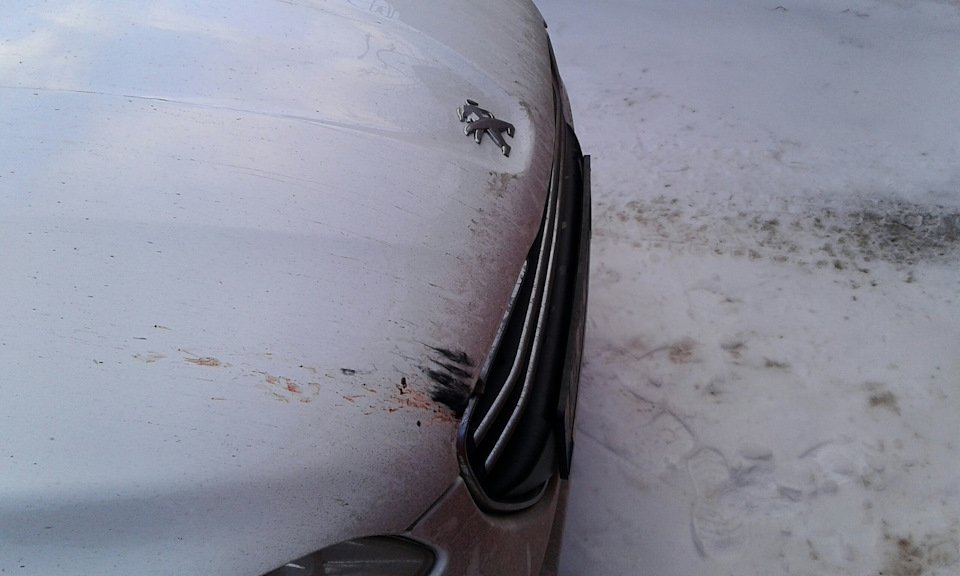 Хижак своє діло знає 1