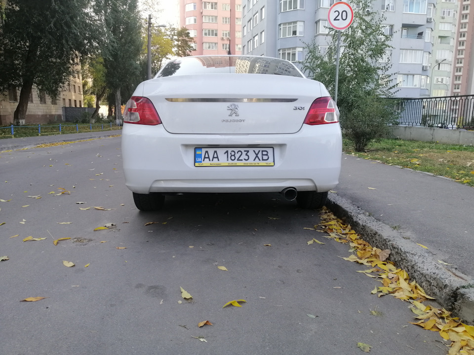 Пиж на пневмі) 1