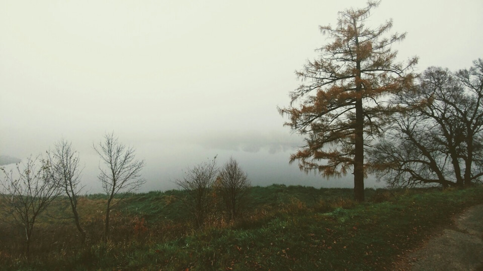 Свірзький замок 4