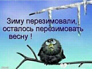Погодка 4