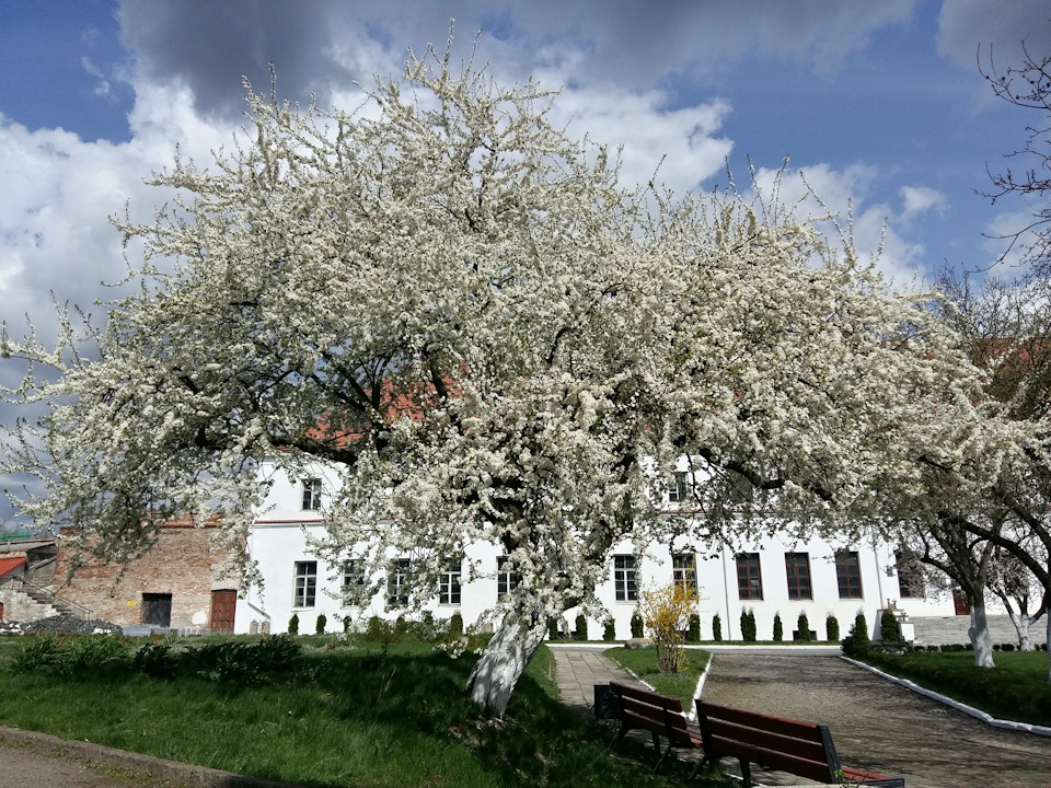 Довгоочікувана відпустка в Карпатах 3