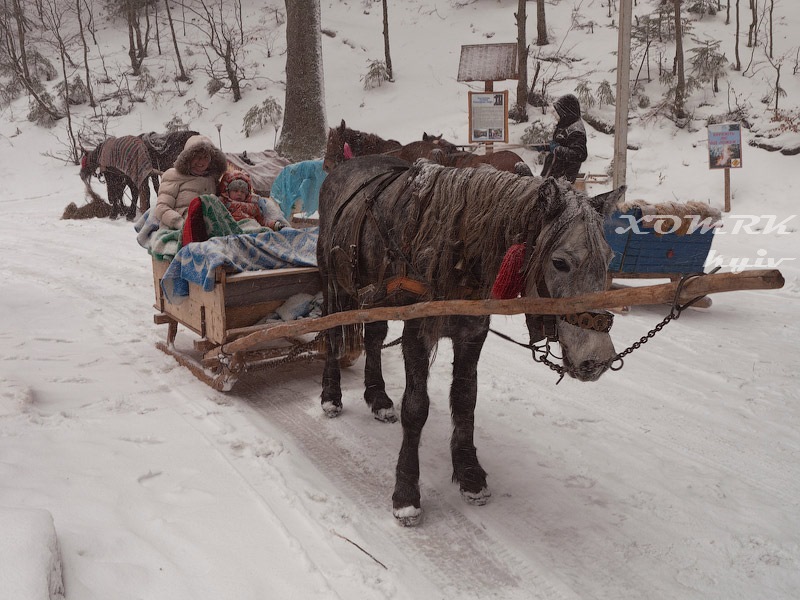 вперше, різдвяні свята на колесах... 5