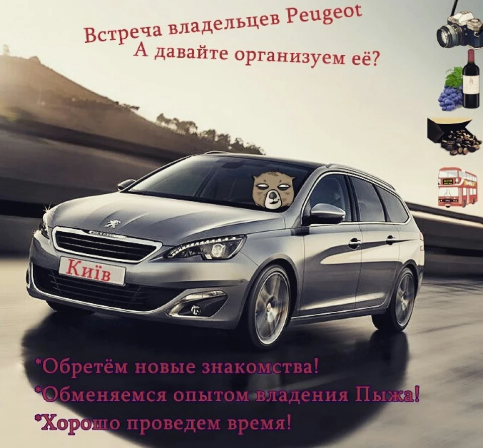 Зустріч власників peugeot))