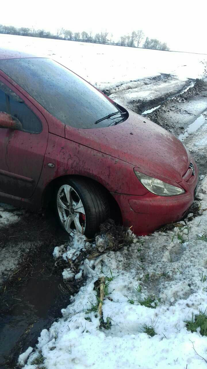 Весна прийшла 3