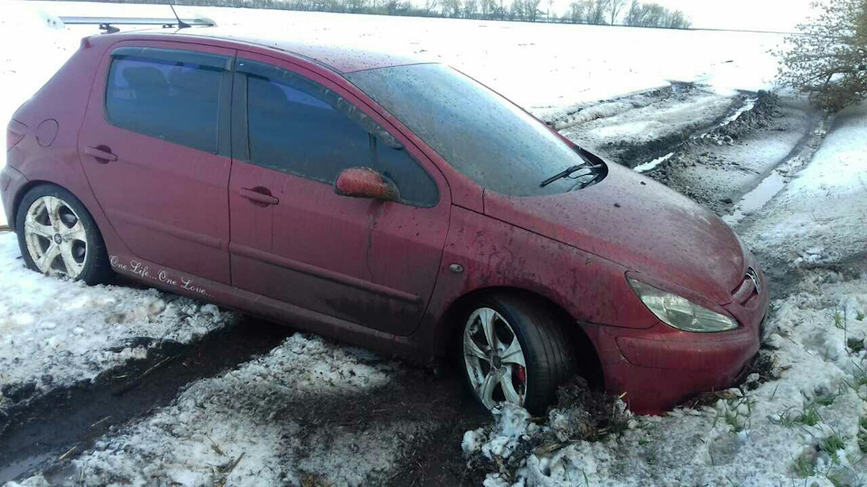 Весна прийшла 4